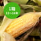 とうもろこし 恵味(めぐみ)1箱