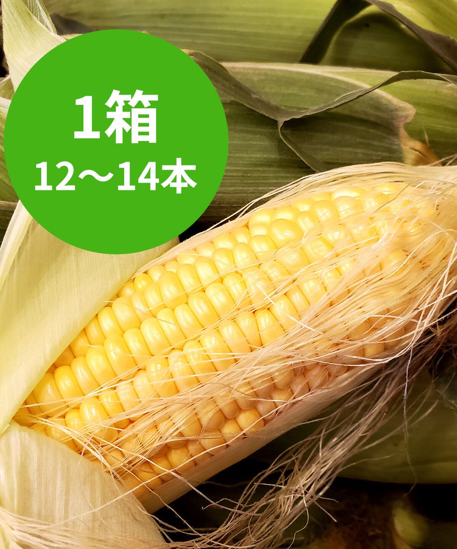 64c7183d871146002e8673c9