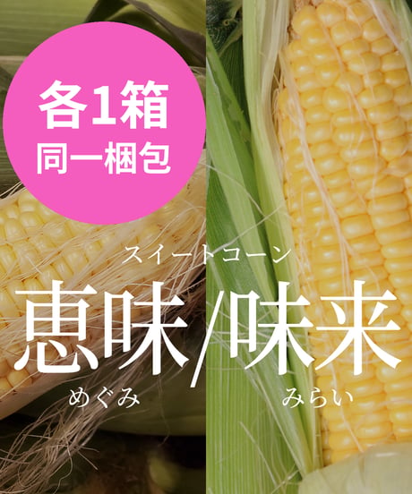 とうもろこし 恵味と味来 食べ比べセット　※送料込