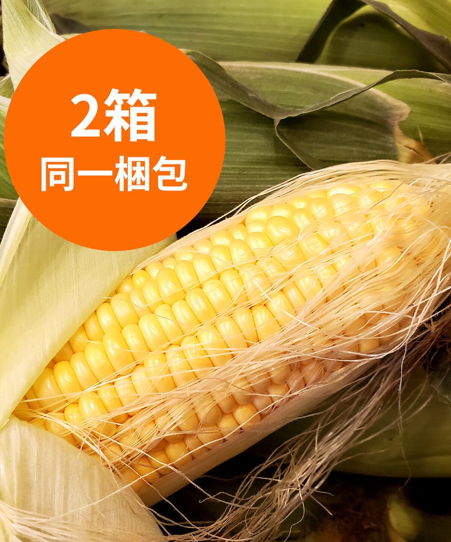 64c709bd3097d7101c480261