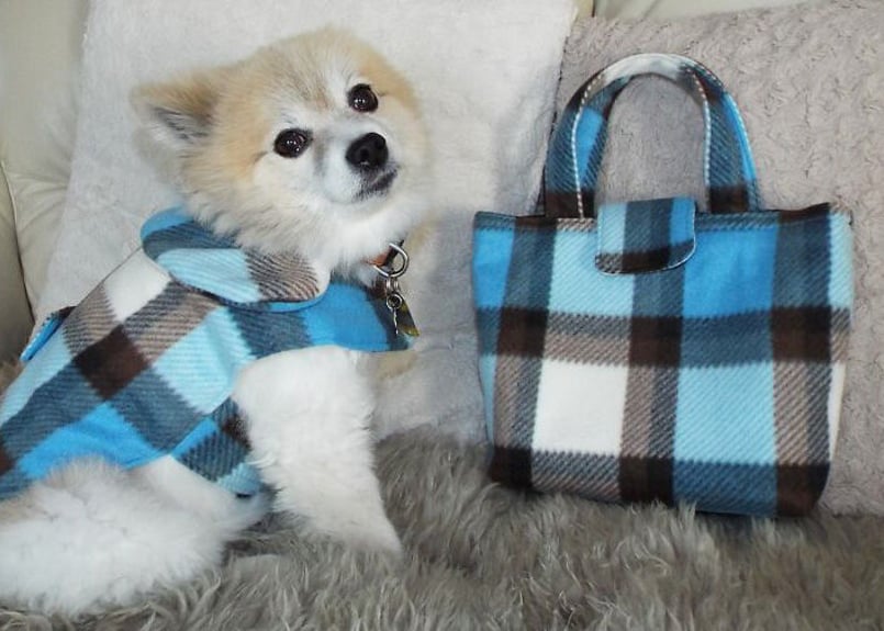 イタグレ服アウターオーダー受付‼︎