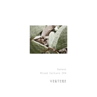 VERTERE バテレ 「Danaus・ダナウス」 缶 500ml
