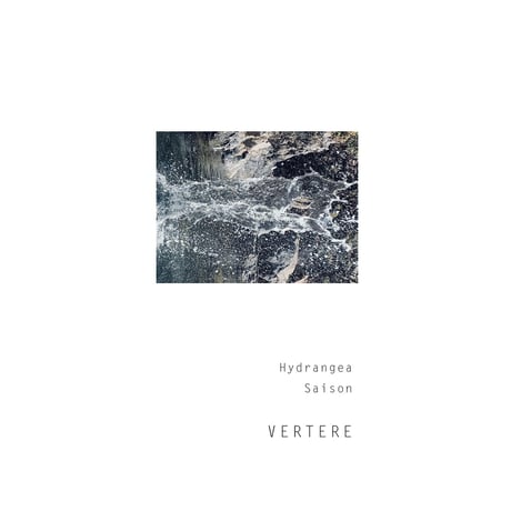 VERTERE 「Hydrangea・ハイドランジア」 缶 500ml