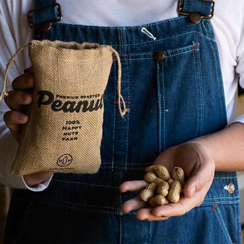 はなピーナッツ きなこピーナッツ 95g入 — ピーナッツサブレー本舗 千葉とみい