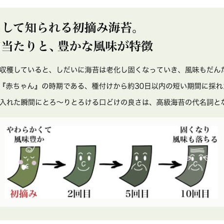 有明海産の海苔をフレーク状にオイルで包んだザクザク新食感　のりフレーク（菜種油）