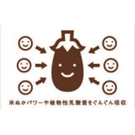 有機米原料　野菜を入れるだけ！届いたその日から漬けられる　金沢大地 オーガニックわたしのぬか床 タッパなし 1kg