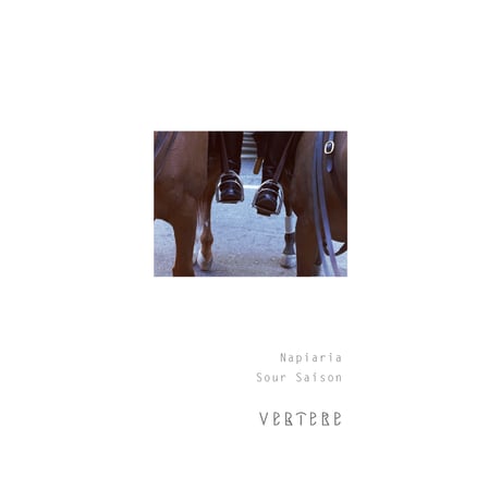 VERTERE 「Napiaria・ナピアリア」 缶 500ml