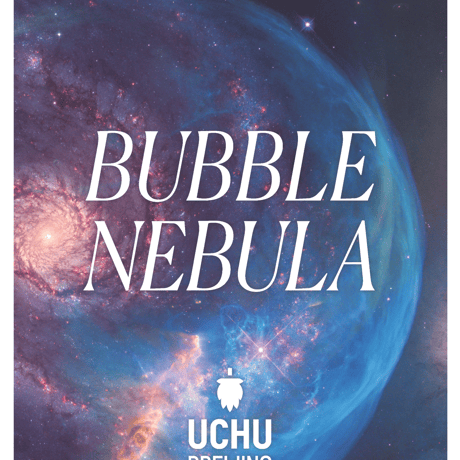 UCHU BREWING うちゅうブルーイング 「BUBBLE NEBULA・バブル ネブラ」 缶 350ml
