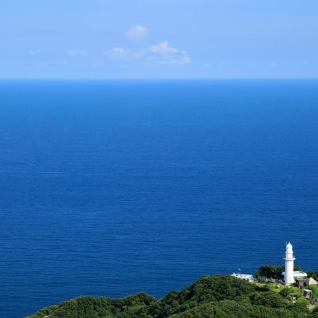 豊後水道 鶴見港 佐伯ごまだし エソ 200g