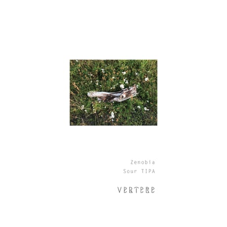 VERTERE 「Zenobia・ゼノビア」 缶 500ml