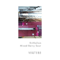 VERTERE バテレ「Erithalion・エリサリオン」 缶 350ml