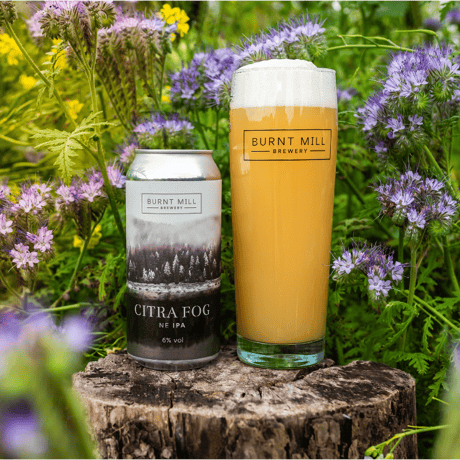 Burnt Mill 「Citra Fog」 缶 440ml