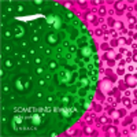 Finback Brewery 「Something Riwaka」 缶 473ml