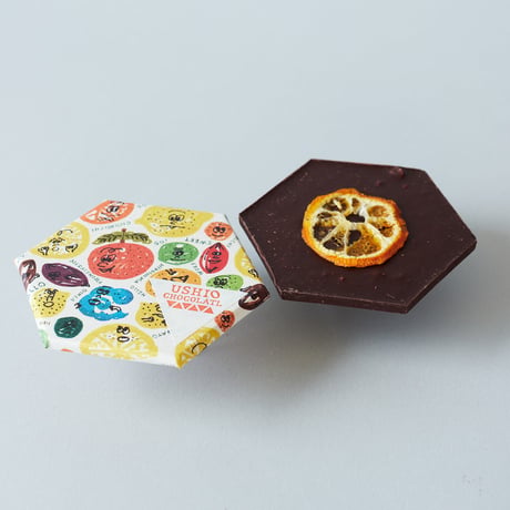 USHIO CHOCOLATL（ウシオチョコラトル）海と太陽
