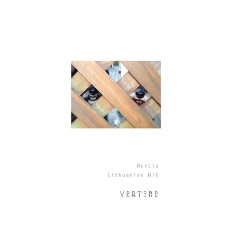 VERTERE バテレ 「Hortia・ホーティア」 缶 500ml