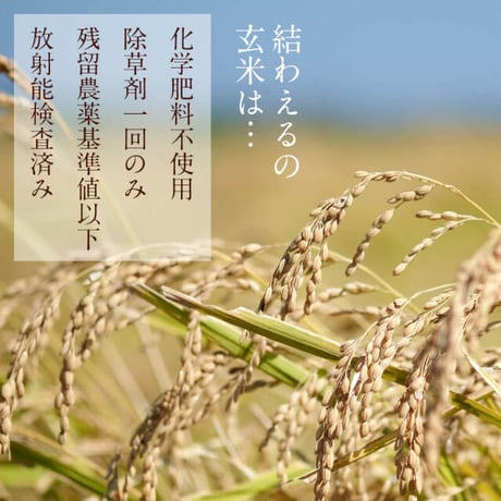 結わえる 寝かせ玄米