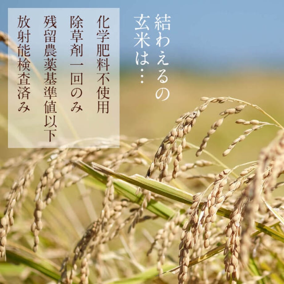 6565c9073cea4a0030aeec62