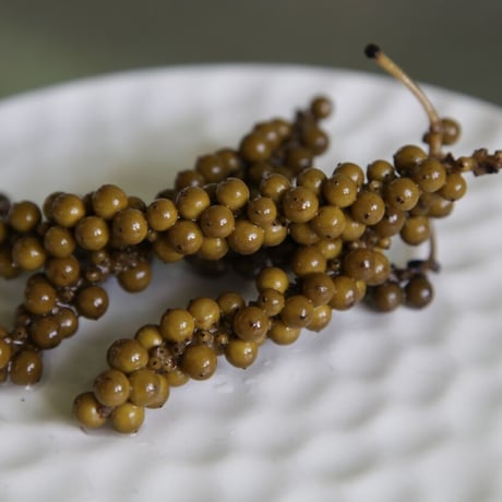 仙人スパイス　純胡椒 【S】 生胡椒の塩水漬け（カリマンタン産） 35g