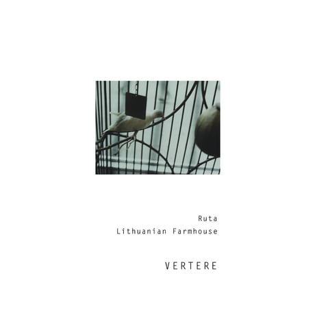 VERTERE バテレ「Ruta・ルタ」 缶 500ml