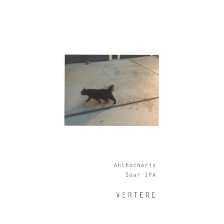 VERTERE 「Anthocharis・アンソカリス」 缶 500ml