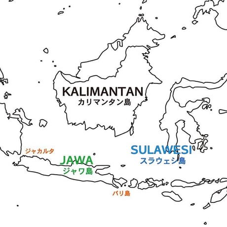 仙人スパイス　純胡椒 【S】 生胡椒の塩水漬け（カリマンタン産） 35g