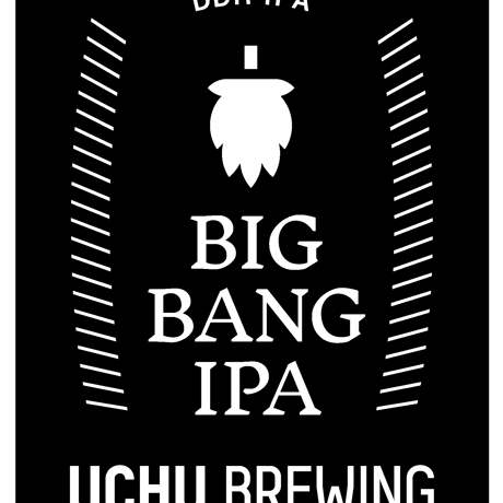 うちゅうブルーイング 「BIG BANG IPA・ビッグバンIPA」 缶 350ml