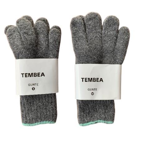 TEMBEA（テンベア） GUNTE