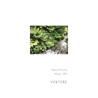 VERTERE バテレ 「Passiflora・パシフローラ」 缶 500ml