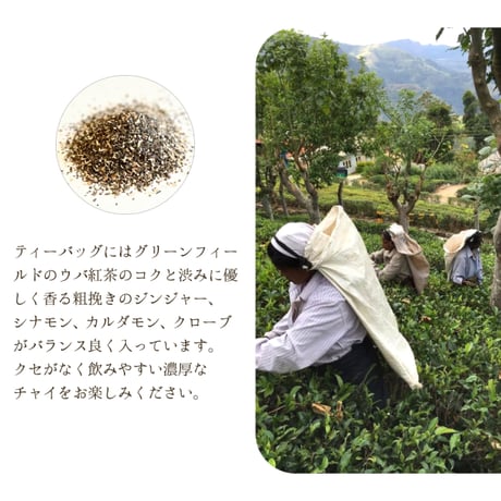 N.HARVEST (エヌハーベスト）　有機マサラチャイ紅茶（３g×６袋）