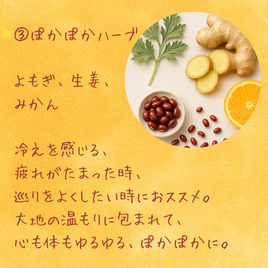 64fc2eda689119002b97c07c