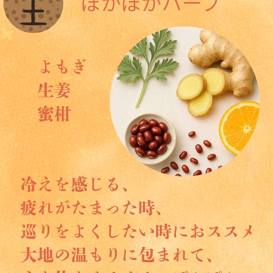 69c3a2119b4c19449e8a4ca9