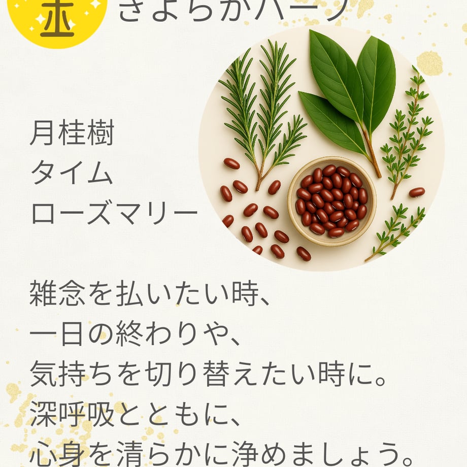 69c3a2119b4c19449e8a4ca9