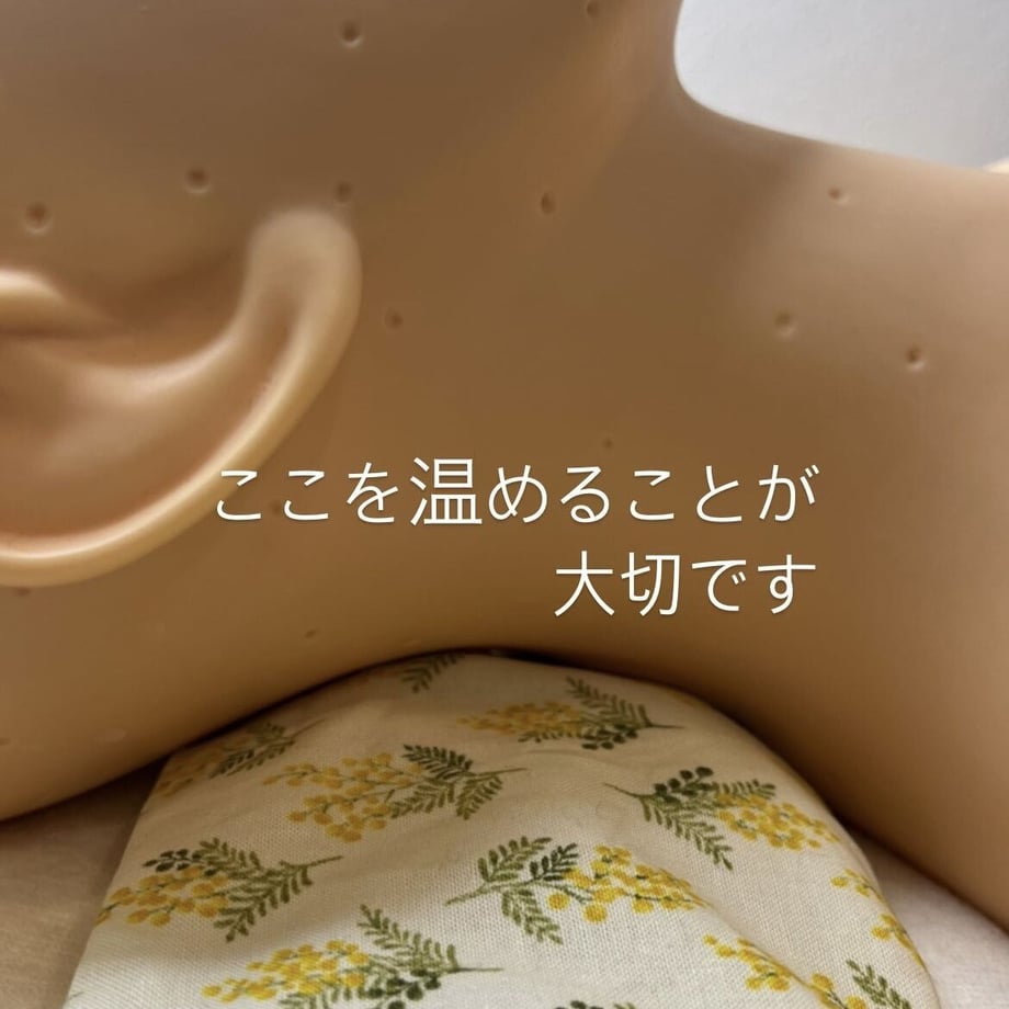 69c3a2119b4c19449e8a4ca9