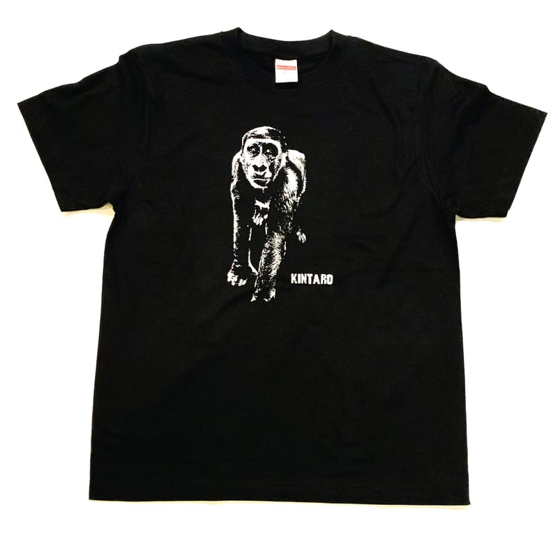 KOTORI GORILLA Tシャツ 2024 ゴリラTシャツ | 京都市動物園東エントランスショップ