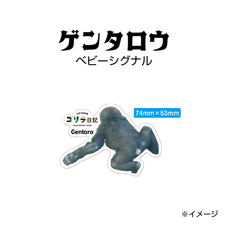 664b5b23ef91a70bb4f504ea