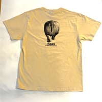 2026 カバTシャツ