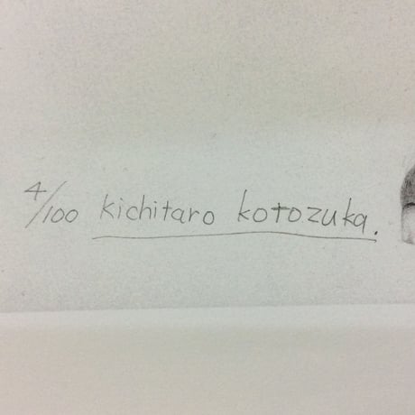 精細複製品（レプリカ）アジアゾウ