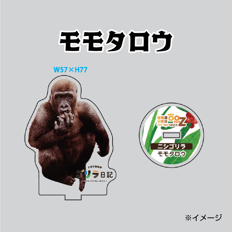 ゴリラ日記』記念グッズ アクリルスタンド | 京都市動物園東 