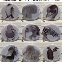 琴塚吉太朗 缶バッジ