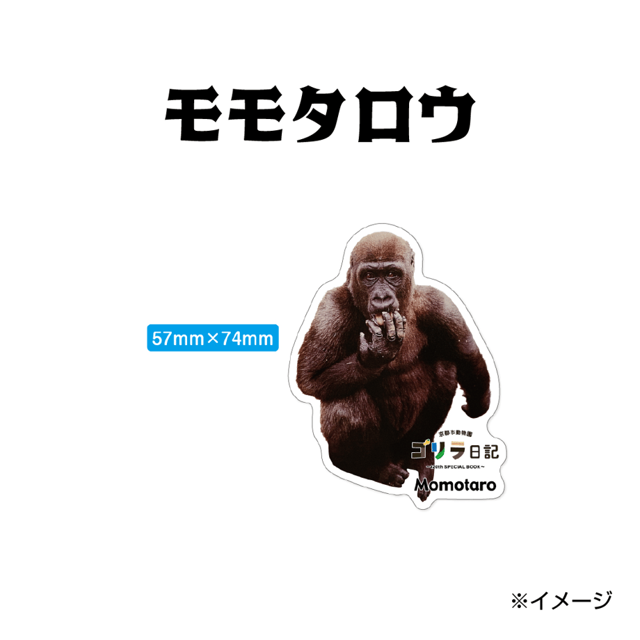 664b5b23ef91a70bb4f504ea