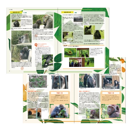 京都市動物園　ゴリラ日記 ～120th SPECIAL BOOK～