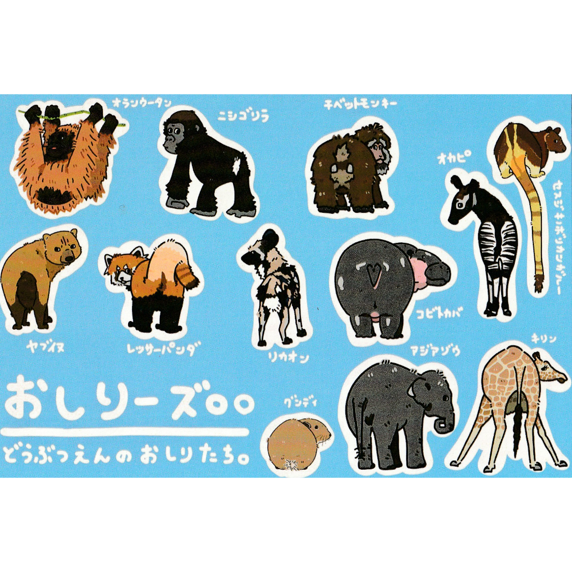 【24時間以内発送可！】ピカソ・OLUNDA・アート額装画　(動物画5体) 24時間以内発送可！】ピカソ・OLUNDA・アート額装画 (動物画5体