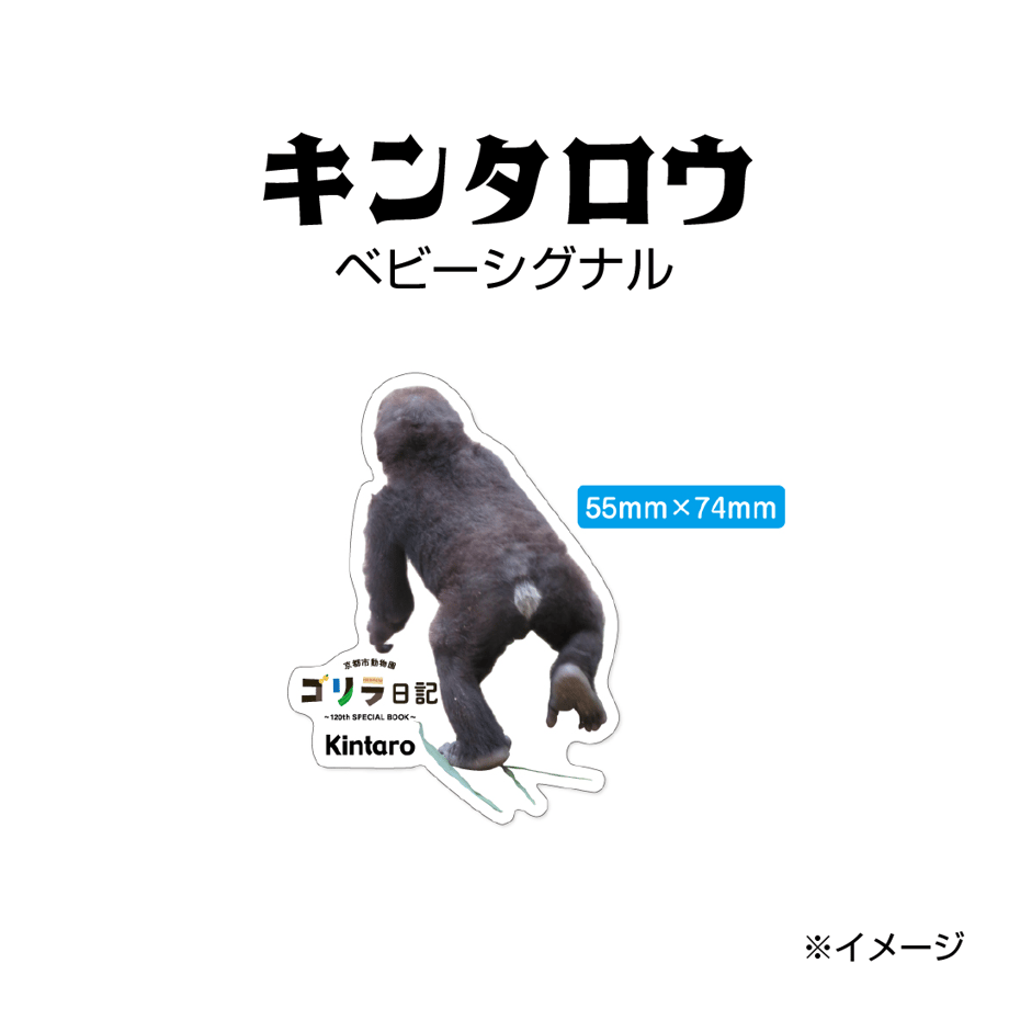 664b5b23ef91a70bb4f504ea