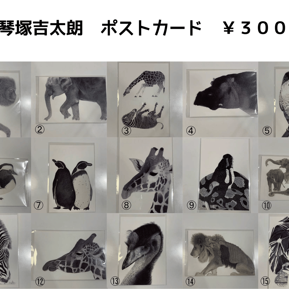 648a840b38b3a5002bac1c6f