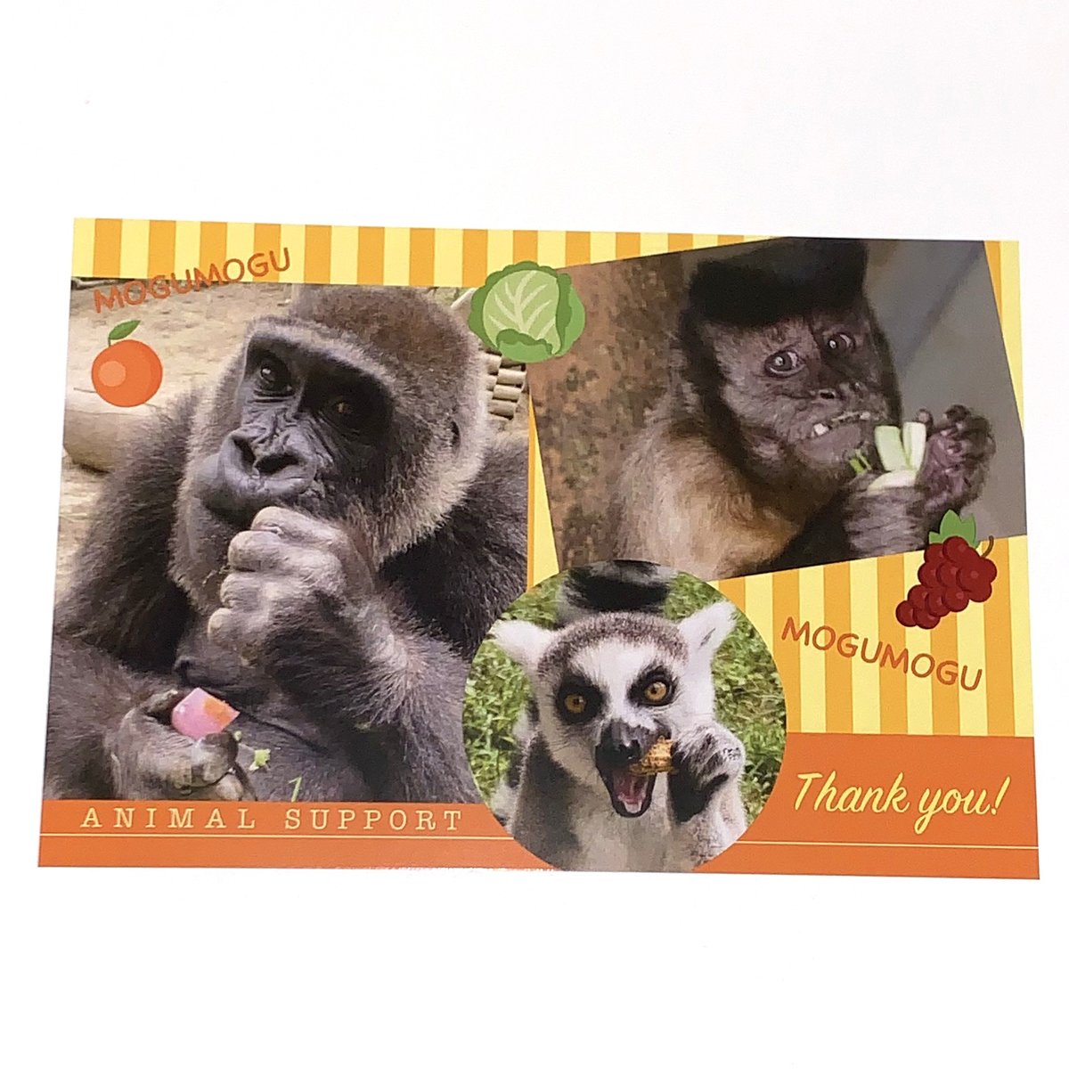 動物のご飯代寄付付ポストカード | 京都市動物園東エントランス 