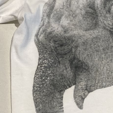 琴塚吉太朗Tシャツ　ゾウ／ライオン