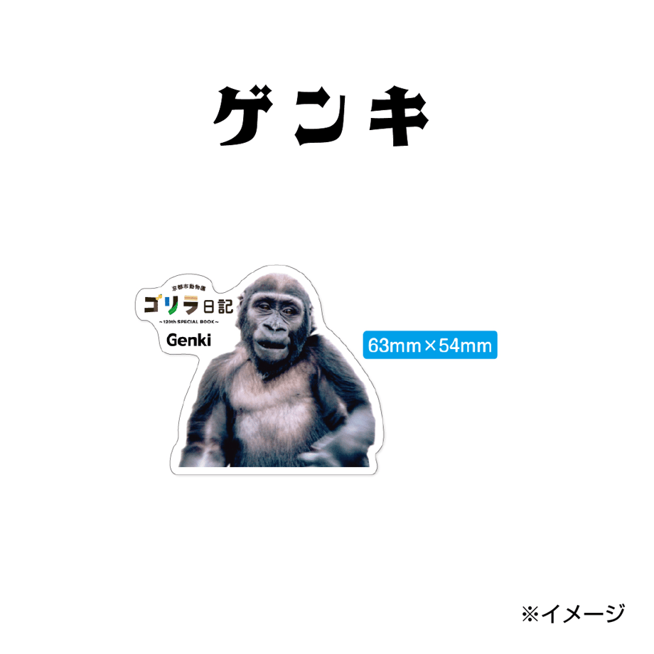 664b5b23ef91a70bb4f504ea