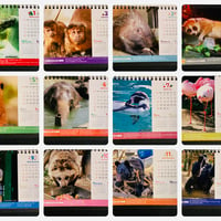 2024京都市動物園　卓上カレンダー