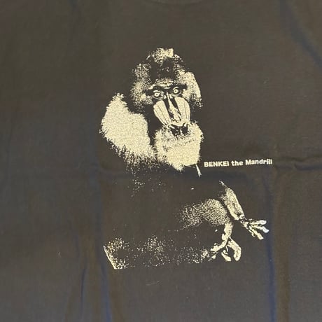 2025 マンドリルTシャツ