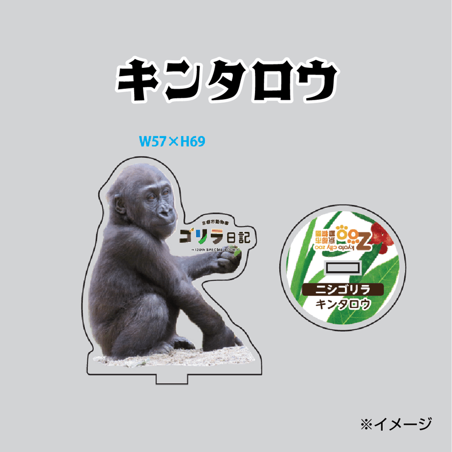 664b58c4db24c40d269c08f3
